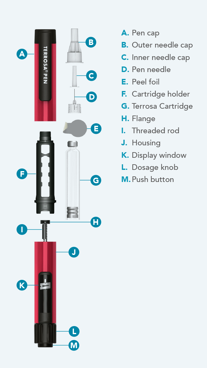 Terrosa Pen vertical diagram